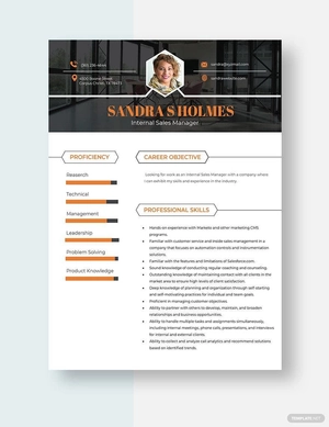 Internal Sales Manager Resume