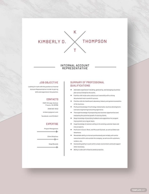 Internal Account Representative Resume