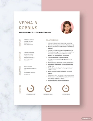 Professional Development Director Resume