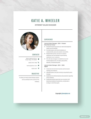 Internet Sales Manager Resume