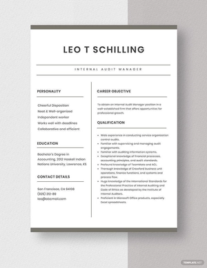Internal Audit Manager Resume