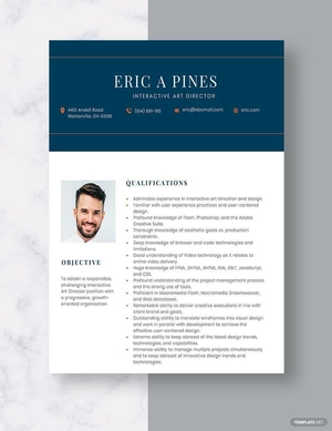 Interactive Art Director Resume