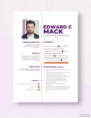 Interactive Creative Director Resume