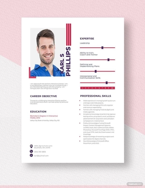 Interactive Director Resume