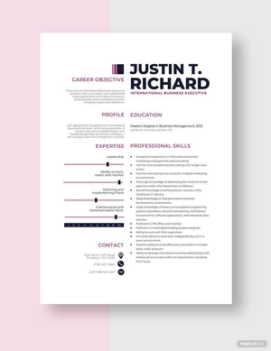 International Business Executive Resume