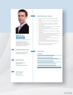 International Business Manager Resume
