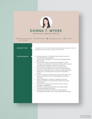 International Marketing Director Resume