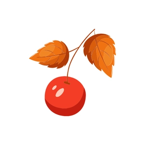 Free Autumn Berries Single Clipart to Edit Online