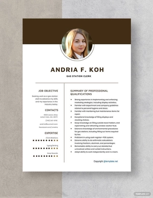 Gas Station Clerk Resume