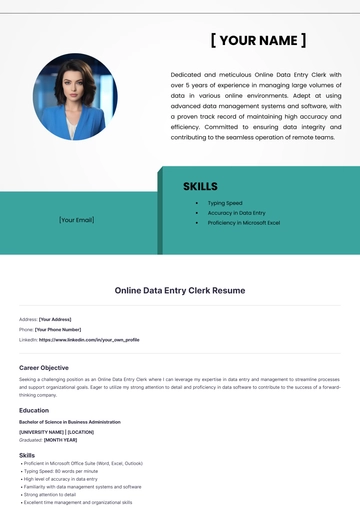 Free Online Data Entry Clerk Resume to Edit Online