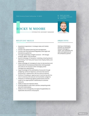 Interactive Account Manager Resume