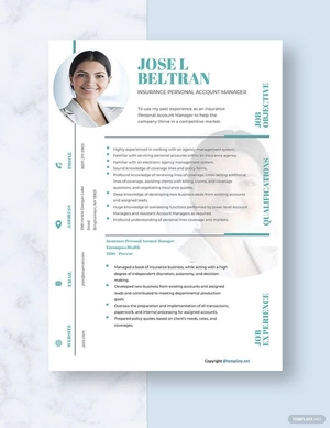 Insurance Personal Account Manager Resume