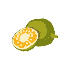 Free Jackfruit Clipart to Edit Online