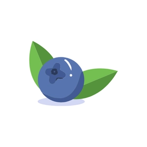Free Blueberry Fruit to Edit Online
