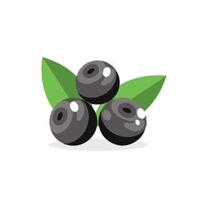 Free Blackberry Fruit Clipart to Edit Online