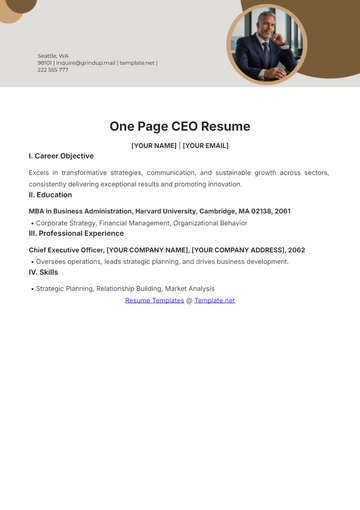Free One Page CEO Resume to Edit Online