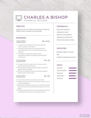 Financial Officer Resume