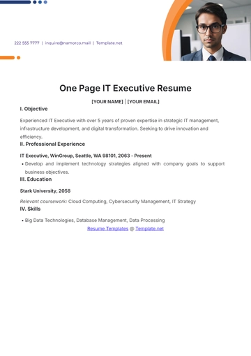 Free One Page IT Executive Resume to Edit Online