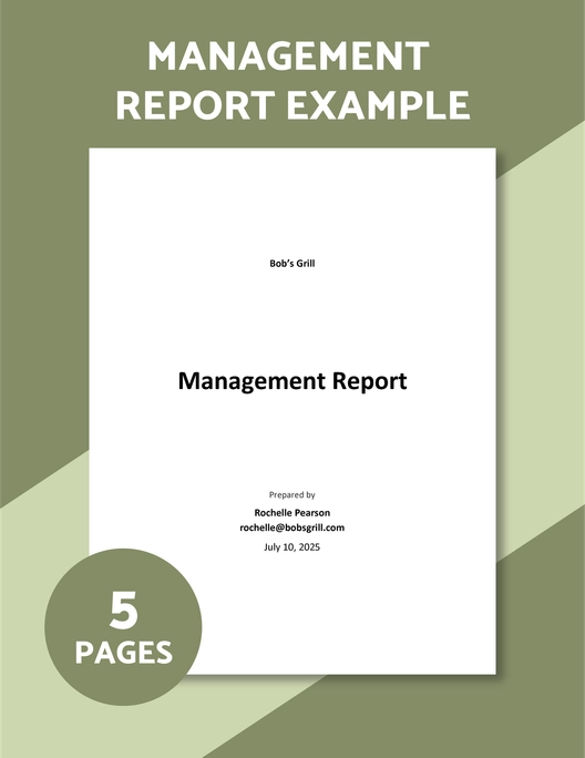 Management Report Example Template Management Report Example Template