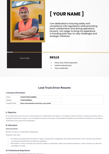 Free Lead Truck Driver Resume to Edit Online