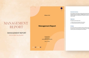 Management Report Sample Template