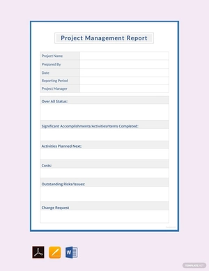 Editable Project Management Report Template