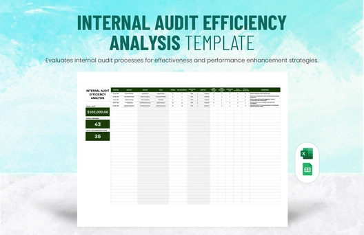 Internal Audit Efficiency Analysis Template