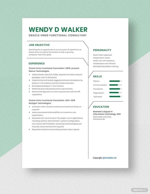Oracle Hrms Functional Consultant Resume
