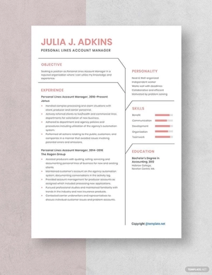 Personal Lines Account Manager Resume
