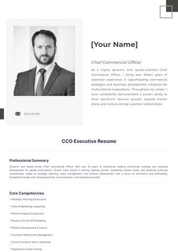 Free CCO Executive Resume to Edit Online