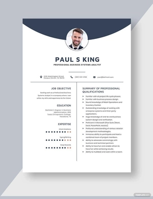 Professional Business Systems Analyst Resume