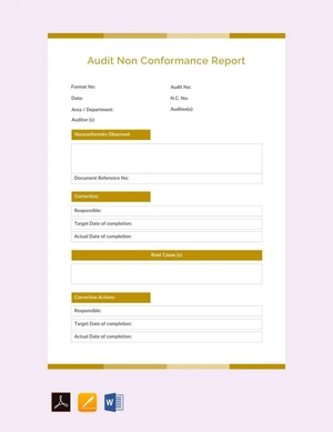 Audit Non conformance Report Template Audit Non conformance Report Template