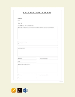 Non conformance Report Sample Template
