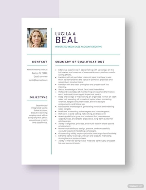 Integrated Media Sales Account Executive Resume