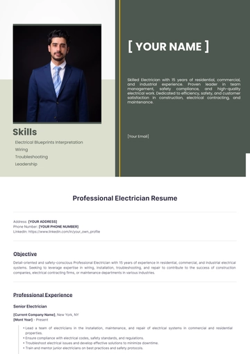 Free Professional Electrician Resume to Edit Online