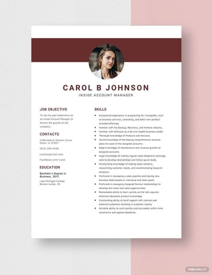 Inside Account Manager Resume