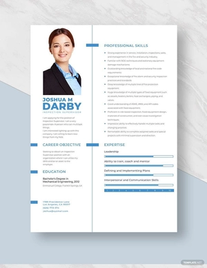 Inspection Supervisor Resume