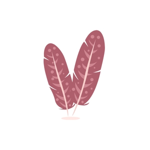 Free Rose Gold Feather Clipart to Edit Online