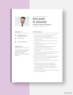 Financial Product Manager Resume