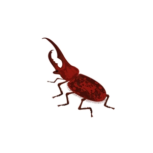 Free Insect Clipart to Edit Online