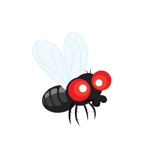 Free Fly Insect Clipart to Edit Online