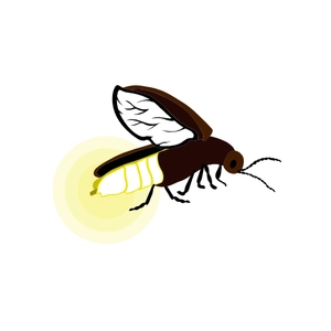 Free Insect Firefly Clipart to Edit Online