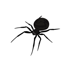 Free Spider Insect to Edit Online