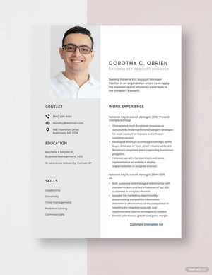 National Key Account Manager Resume