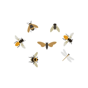 Free Flying Bug Insects Clipart to Edit Online