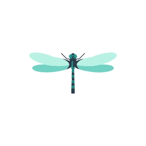 Free Dragonfly Clipart to Edit Online