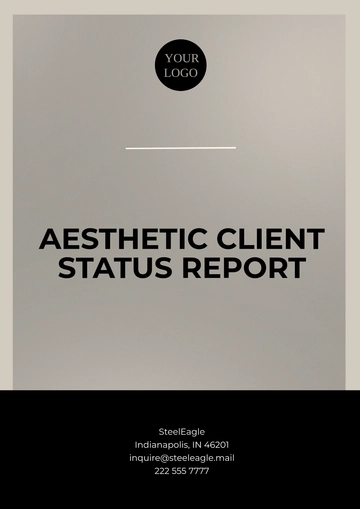Free Aesthetic Client Status Report Template to Edit Online