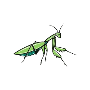 Free Praying Mantis Insect Clipart to Edit Online