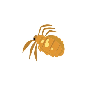 Free Lice Insect Clipart to Edit Online