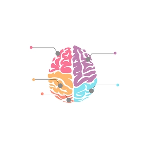 Free Brain Infographic Clipart to Edit Online